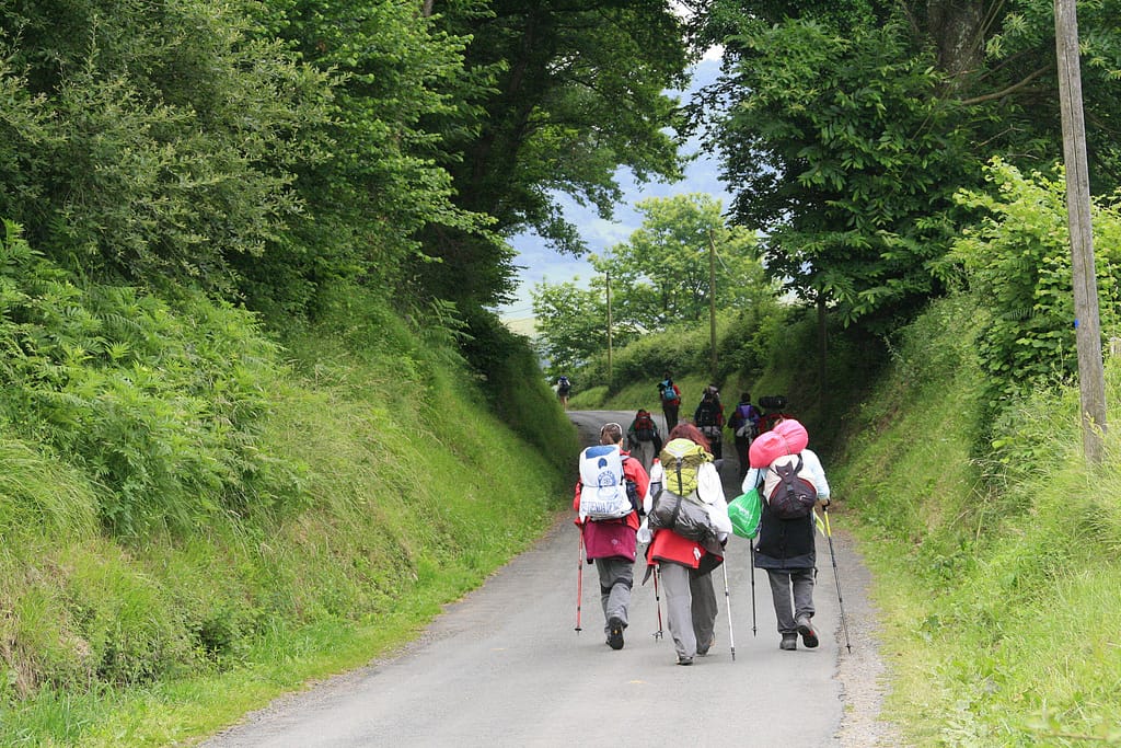 <a href="https://en.wikipedia.org/wiki/French_Way" target="_blank" rel="noopener">Ruta del Camino de Santiago Frances Trail</a>